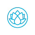 ShareMetric
