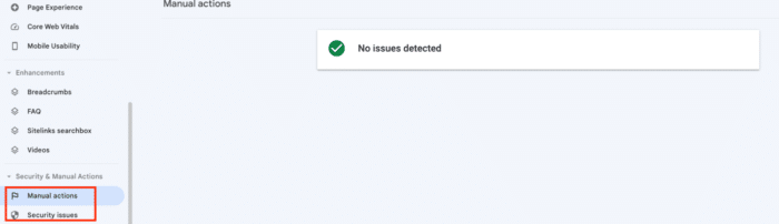 review-any-manual-and-security-actions